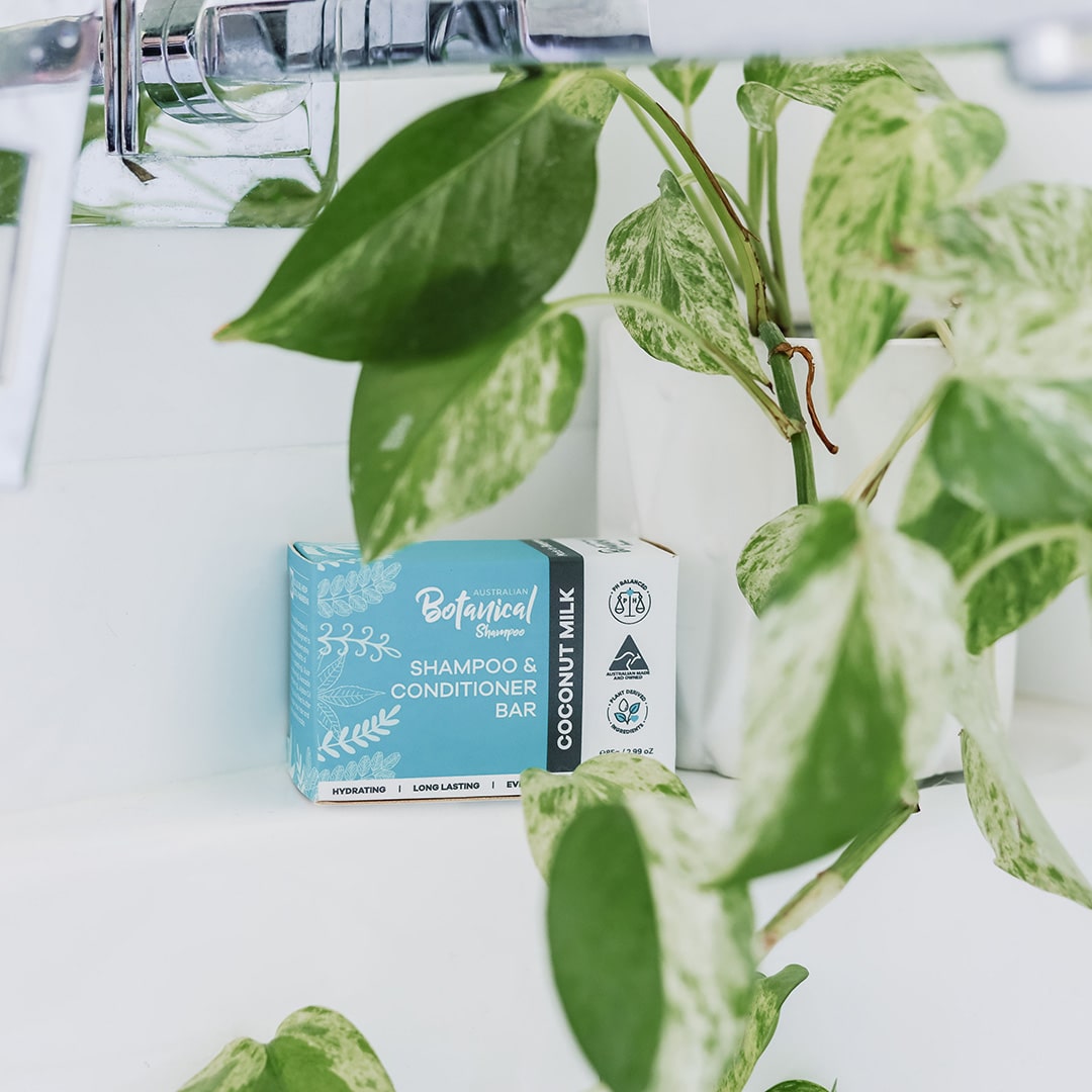 Shampoo & Conditioner Bar - Image 5